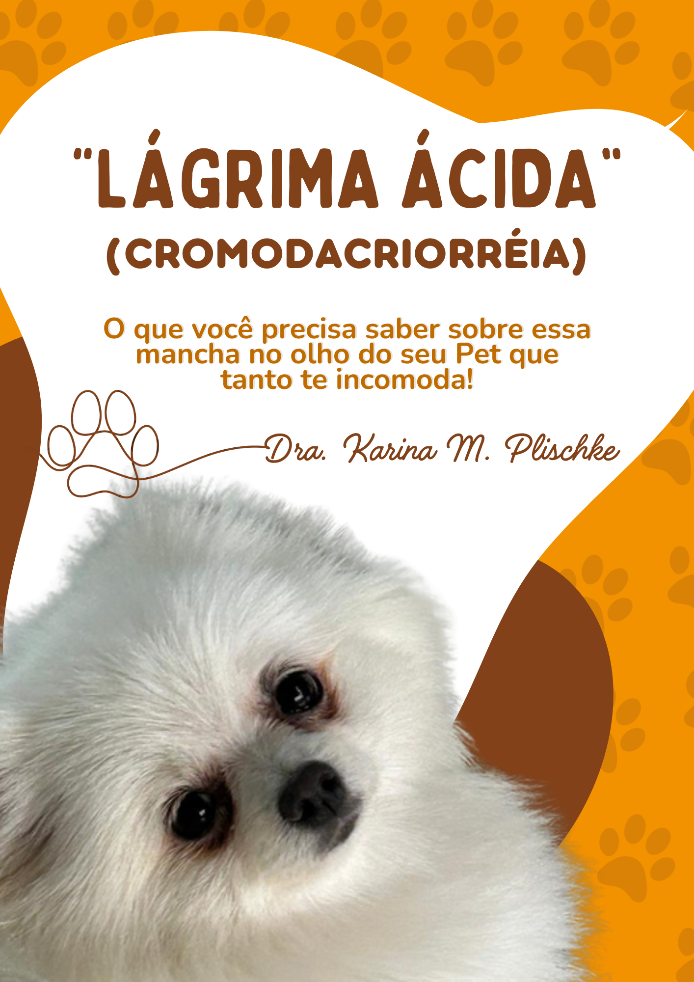 e-book-L-GRIMA-CIDA-CROMODACRIORR-IA.png